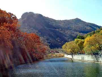 澳门天天免费精准大全，耐酸瓷板